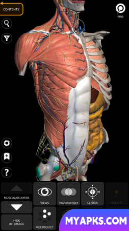 Anatomia - Atlas 3D