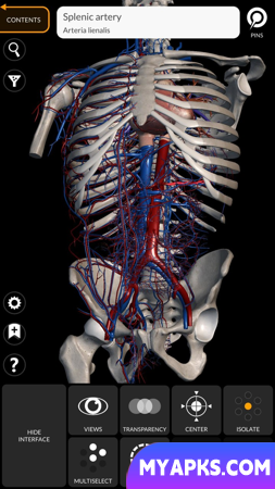 Anatomia - Atlas 3D