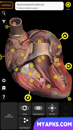 Anatomia - Atlas 3D