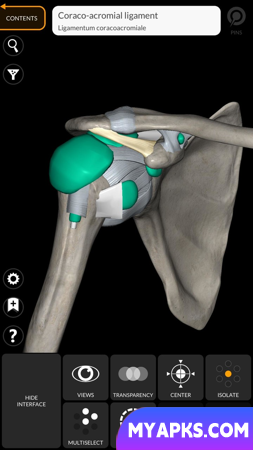 Anatomia - Atlas 3D