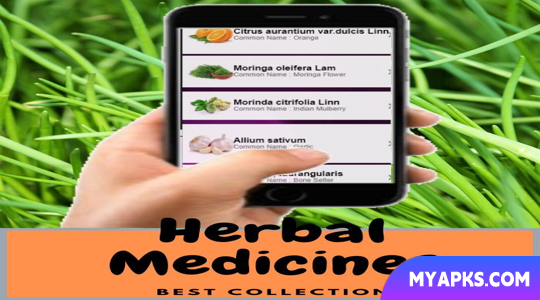 Medicamentos fitoterápicos