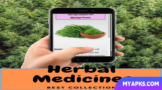 Medicamentos fitoterápicos