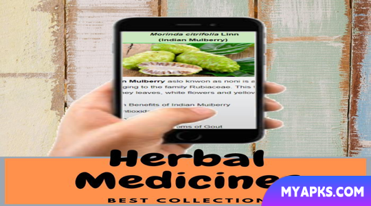 Medicamentos fitoterápicos