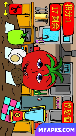 mister tomato