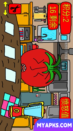 mister tomato