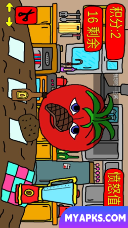 mister tomato