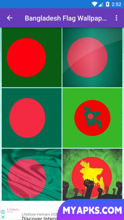 Bangladesh Flag Wallpaper: Fla