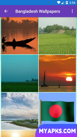 Bangladesh Flag Wallpaper: Fla