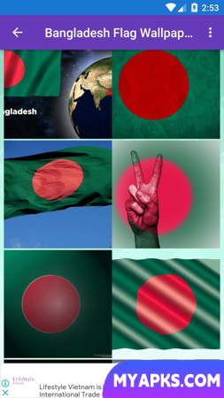 Bangladesh Flag Wallpaper: Fla