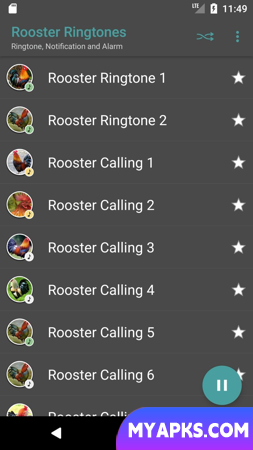 Rooster Sounds