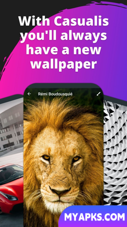 Casualis:Auto wallpaper change