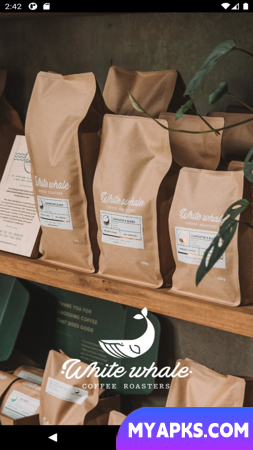 White Whale Coffee Roasters