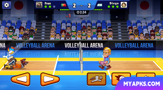 Volleyball Arena