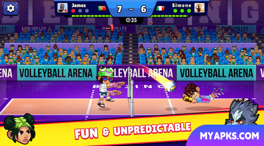 Volleyball Arena