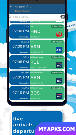 Pulkovo Airport (LED) Info