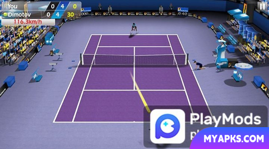 3D Tennis