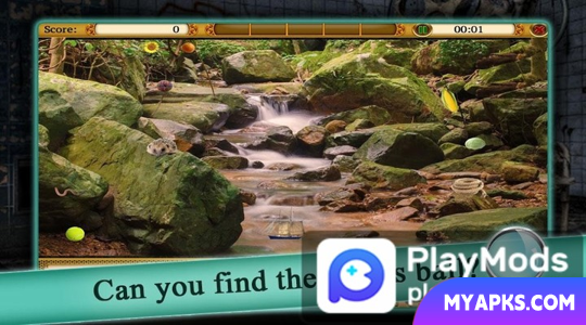 Blackstone: Hidden Objects