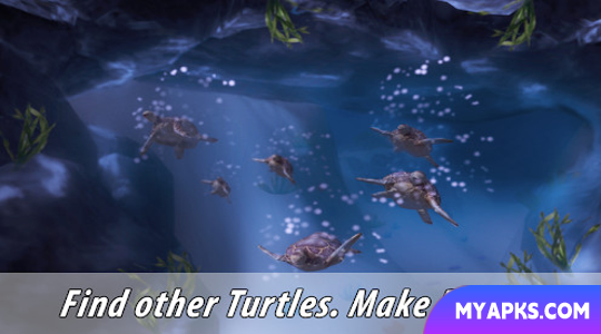 Turtle Family Simulator 3D