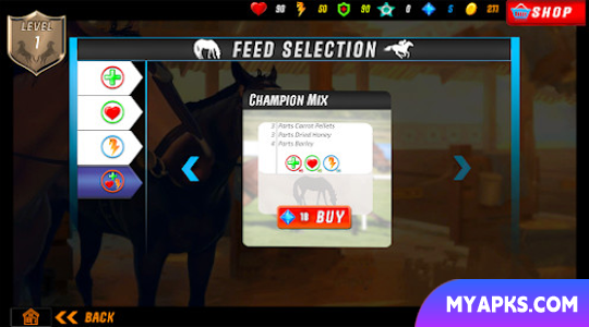 Rival Star Jockey Horse Racing