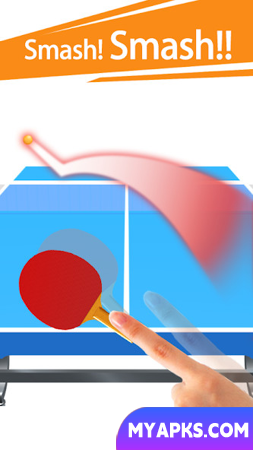 Table Tennis 3D Virtual World Tour Ping Pong Pro