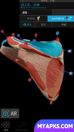 Human Anatomy Atlas 2021