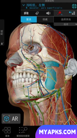 Human Anatomy Atlas 2021