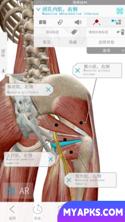 Human Anatomy Atlas 2021