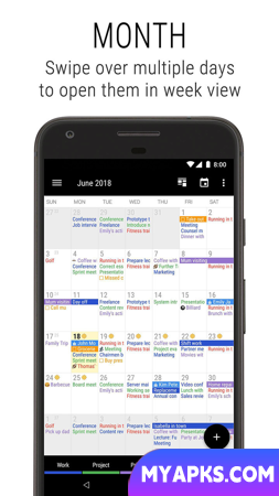 Business Calendar 2 Pro