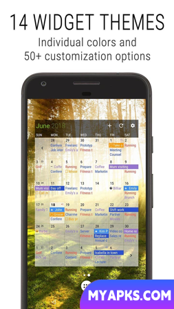 Business Calendar 2 Pro