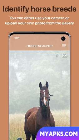 Horse Scanner