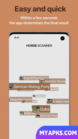 Horse Scanner