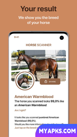 Horse Scanner