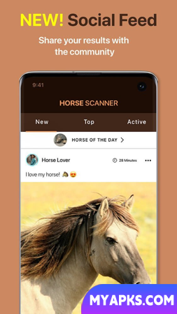 Horse Scanner