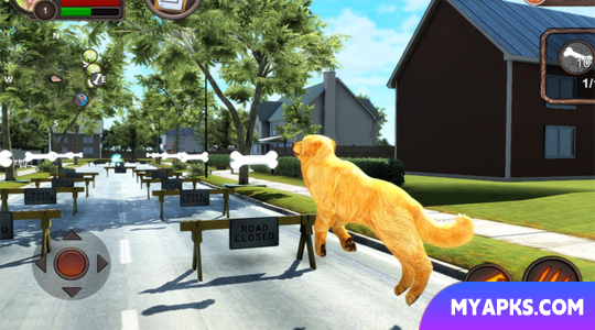 Golden Retriever Simulator