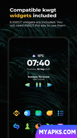 Vera Icon Pack