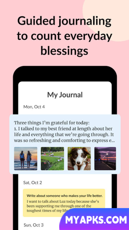 Gratitude: Daily Journal