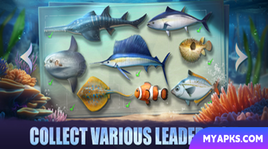 Top Fish: Ocean Game