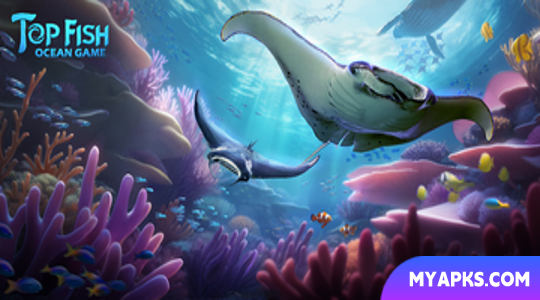 Top Fish: Ocean Game