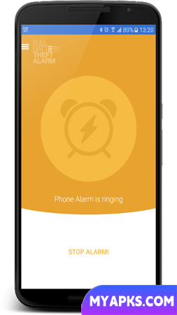 Full Battery & Theft Alarm 