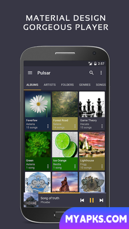 Pulsar Music Player Pro 