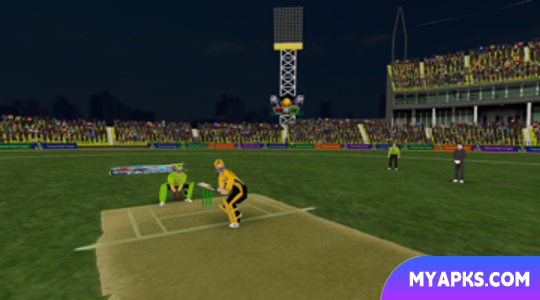 Pakistan T20 Cricket Games 3D