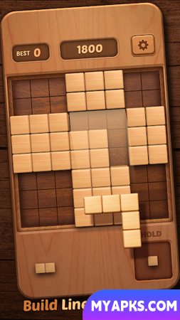 Wood Block Puzzle 3D 