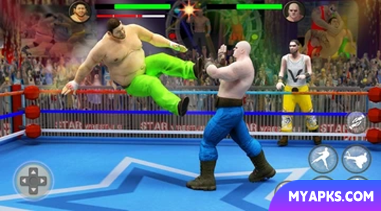 PRO Wrestling Fighting Game