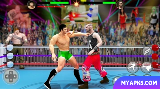 PRO Wrestling Fighting Game