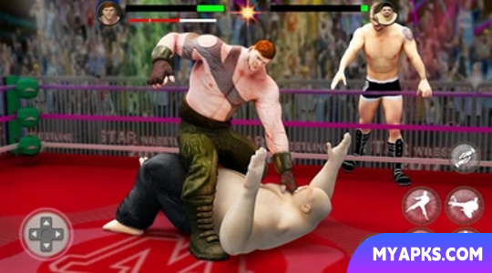 PRO Wrestling Fighting Game