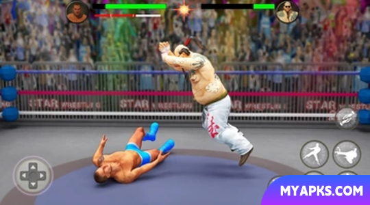 PRO Wrestling Fighting Game