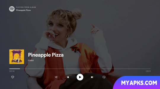 APK of Spotify