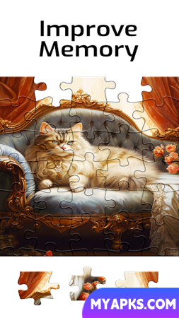 Puzzles for Seniors