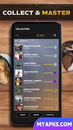 Country Star: Music Game 