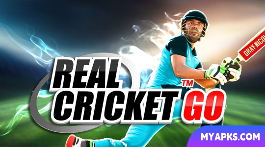 Real Cricket GO